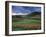 Vineyards Near Chateau Chalon, Jura, Franche Comte, France-Michael Busselle-Framed Photographic Print