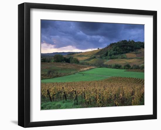 Vineyards Near Chateau Chalon, Jura, Franche Comte, France-Michael Busselle-Framed Photographic Print