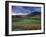 Vineyards Near Chateau Chalon, Jura, Franche Comte, France-Michael Busselle-Framed Photographic Print