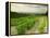 Vineyards Near Gigondas, Vaucluse, Provence, France, Europe-Michael Busselle-Framed Premier Image Canvas