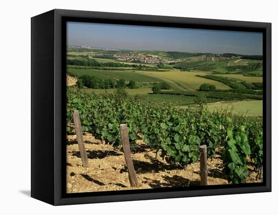 Vineyards Near Irancy, Burgundy, France-Michael Busselle-Framed Premier Image Canvas