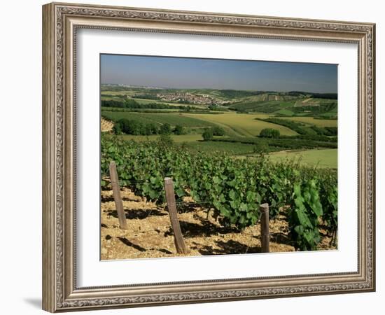 Vineyards Near Irancy, Burgundy, France-Michael Busselle-Framed Photographic Print