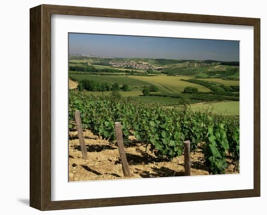 Vineyards Near Irancy, Burgundy, France-Michael Busselle-Framed Photographic Print