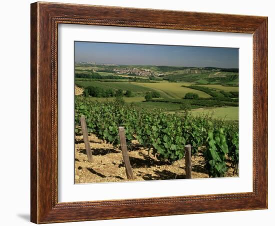 Vineyards Near Irancy, Burgundy, France-Michael Busselle-Framed Photographic Print