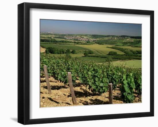 Vineyards Near Irancy, Burgundy, France-Michael Busselle-Framed Photographic Print