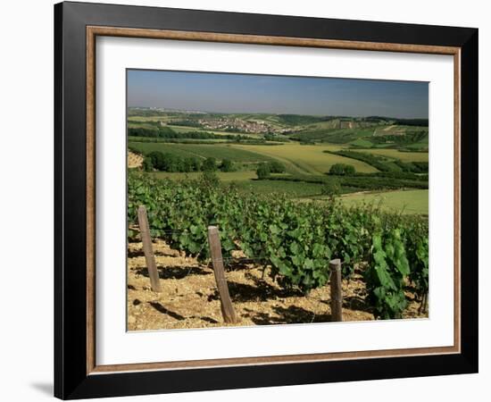 Vineyards Near Irancy, Burgundy, France-Michael Busselle-Framed Photographic Print