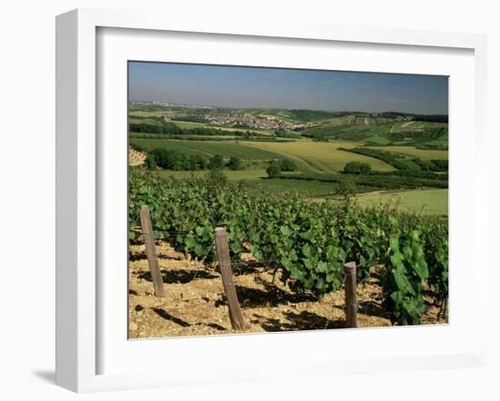 Vineyards Near Irancy, Burgundy, France-Michael Busselle-Framed Photographic Print
