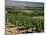 Vineyards Near Irancy, Burgundy, France-Michael Busselle-Mounted Photographic Print