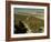 Vineyards Near Jerez, Cadiz, Andalucia, Spain-Michael Busselle-Framed Photographic Print