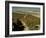 Vineyards Near Jerez, Cadiz, Andalucia, Spain-Michael Busselle-Framed Photographic Print