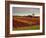 Vineyards Near Loches, Indre Et Loire, Touraine, Loire Valley, France, Europe-David Hughes-Framed Photographic Print