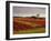 Vineyards Near Loches, Indre Et Loire, Touraine, Loire Valley, France, Europe-David Hughes-Framed Photographic Print