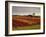 Vineyards Near Loches, Indre Et Loire, Touraine, Loire Valley, France, Europe-David Hughes-Framed Photographic Print