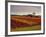 Vineyards Near Loches, Indre Et Loire, Touraine, Loire Valley, France, Europe-David Hughes-Framed Photographic Print