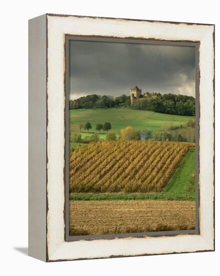 Vineyards Near Lons Le Saunier, Jura, Rhone Alpes, France-Michael Busselle-Framed Premier Image Canvas