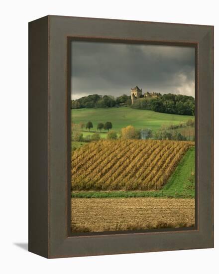 Vineyards Near Lons Le Saunier, Jura, Rhone Alpes, France-Michael Busselle-Framed Premier Image Canvas