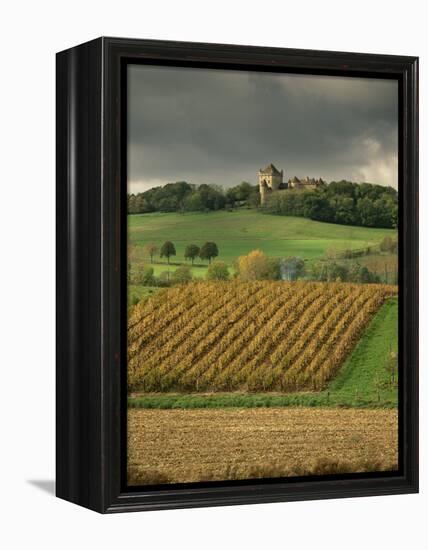 Vineyards Near Lons Le Saunier, Jura, Rhone Alpes, France-Michael Busselle-Framed Premier Image Canvas