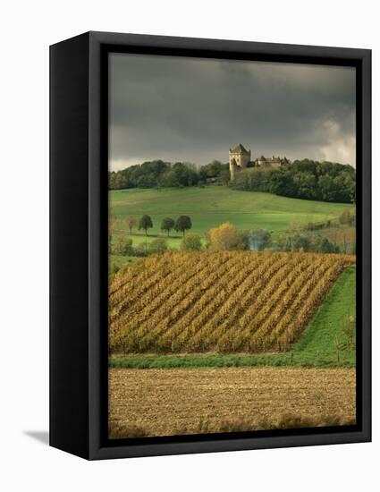 Vineyards Near Lons Le Saunier, Jura, Rhone Alpes, France-Michael Busselle-Framed Premier Image Canvas