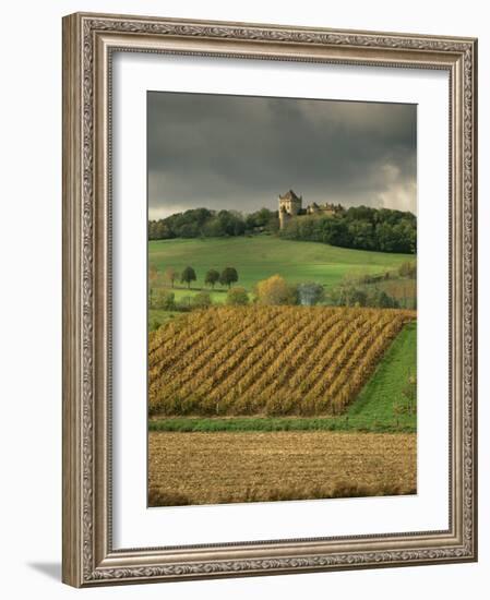 Vineyards Near Lons Le Saunier, Jura, Rhone Alpes, France-Michael Busselle-Framed Photographic Print