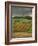 Vineyards Near Lons Le Saunier, Jura, Rhone Alpes, France-Michael Busselle-Framed Photographic Print