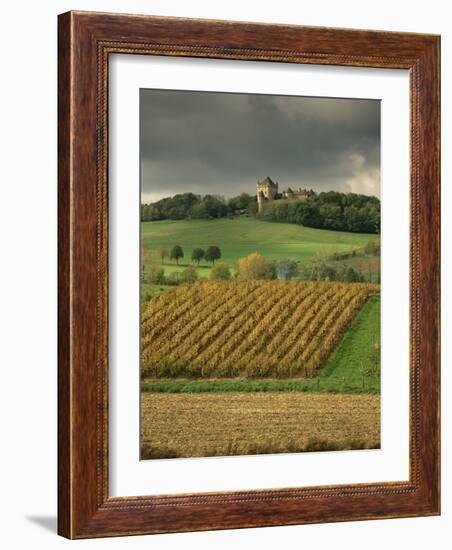 Vineyards Near Lons Le Saunier, Jura, Rhone Alpes, France-Michael Busselle-Framed Photographic Print