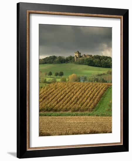 Vineyards Near Lons Le Saunier, Jura, Rhone Alpes, France-Michael Busselle-Framed Photographic Print