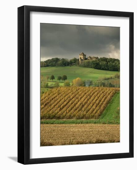 Vineyards Near Lons Le Saunier, Jura, Rhone Alpes, France-Michael Busselle-Framed Photographic Print