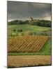 Vineyards Near Lons Le Saunier, Jura, Rhone Alpes, France-Michael Busselle-Mounted Photographic Print