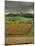 Vineyards Near Lons Le Saunier, Jura, Rhone Alpes, France-Michael Busselle-Mounted Photographic Print