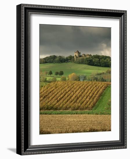 Vineyards Near Lons Le Saunier, Jura, Rhone Alpes, France-Michael Busselle-Framed Photographic Print