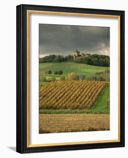 Vineyards Near Lons Le Saunier, Jura, Rhone Alpes, France-Michael Busselle-Framed Photographic Print