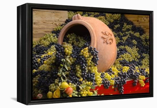 Vineyards near Monte Falco-Terry Eggers-Framed Premier Image Canvas
