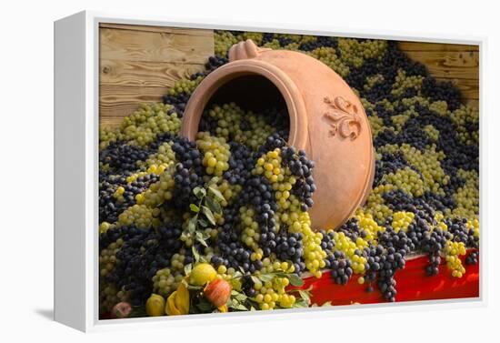 Vineyards near Monte Falco-Terry Eggers-Framed Premier Image Canvas