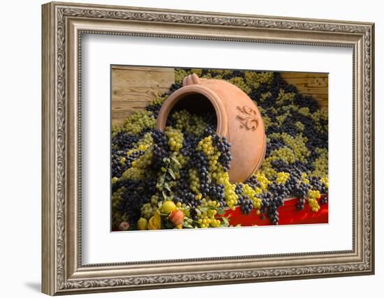 Vineyards near Monte Falco-Terry Eggers-Framed Photographic Print