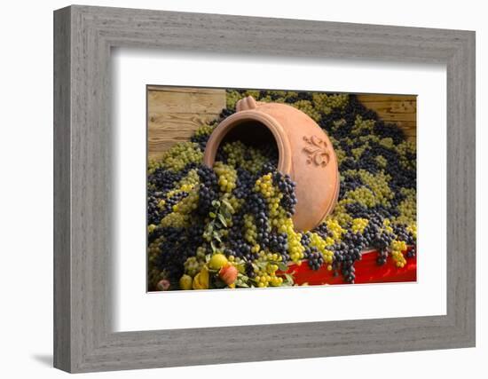 Vineyards near Monte Falco-Terry Eggers-Framed Photographic Print