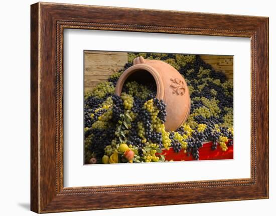 Vineyards near Monte Falco-Terry Eggers-Framed Photographic Print