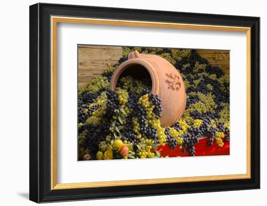Vineyards near Monte Falco-Terry Eggers-Framed Photographic Print