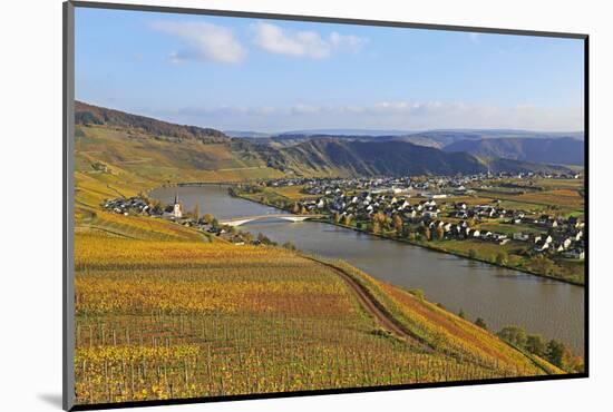 Vineyards near Piesport, Moselle Valley, Rhineland-Palatinate, Germany, Europe-Hans-Peter Merten-Mounted Photographic Print
