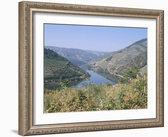 Vineyards Near Pinhao, Douro Region, Portugal-R H Productions-Framed Photographic Print