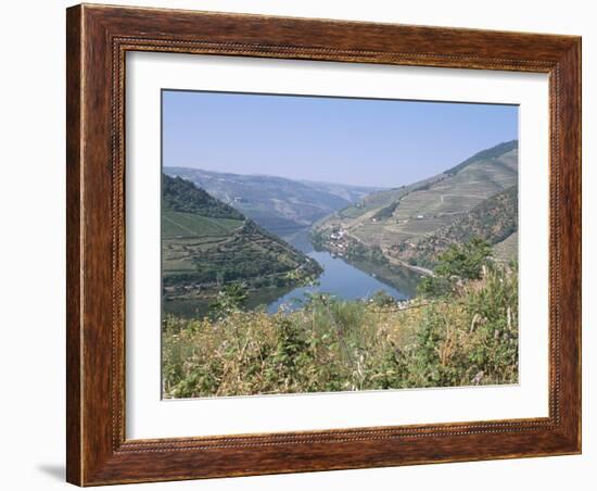 Vineyards Near Pinhao, Douro Region, Portugal-R H Productions-Framed Photographic Print