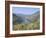 Vineyards Near Pinhao, Douro Region, Portugal-R H Productions-Framed Photographic Print