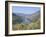 Vineyards Near Pinhao, Douro Region, Portugal-R H Productions-Framed Photographic Print