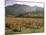 Vineyards Near Roquebrun Sur Argens, Var, Provence, France-Michael Busselle-Mounted Photographic Print