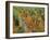 Vineyards Near Sauterne, Gironde, Aquitaine, France-Michael Busselle-Framed Photographic Print