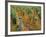 Vineyards Near Sauterne, Gironde, Aquitaine, France-Michael Busselle-Framed Photographic Print