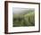 Vineyards Near Serralunga D'Alba, Piedmont, Italy, Europe-Robert Cundy-Framed Photographic Print