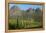 Vineyards Near Stellenbosch in the Western Cape, South Africa, Africa-Alex Treadway-Framed Premier Image Canvas