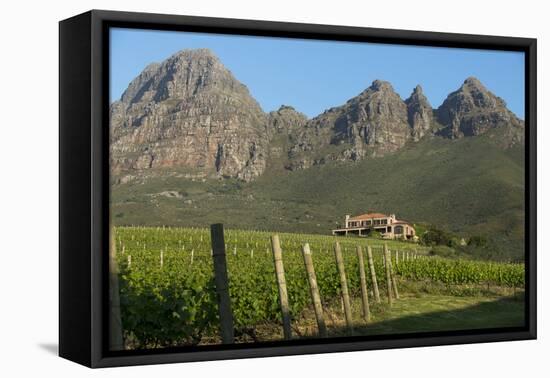 Vineyards Near Stellenbosch in the Western Cape, South Africa, Africa-Alex Treadway-Framed Premier Image Canvas