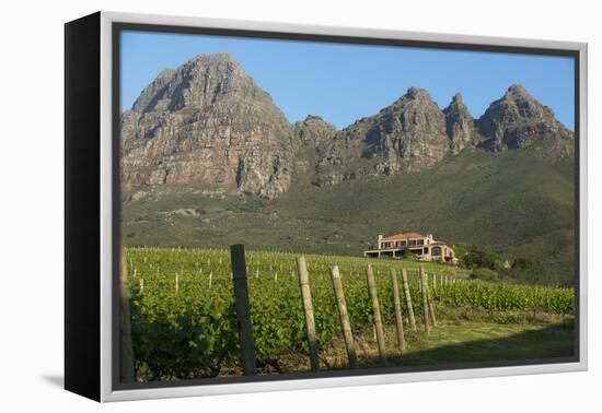 Vineyards Near Stellenbosch in the Western Cape, South Africa, Africa-Alex Treadway-Framed Premier Image Canvas