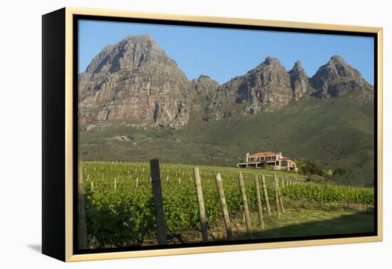 Vineyards Near Stellenbosch in the Western Cape, South Africa, Africa-Alex Treadway-Framed Premier Image Canvas